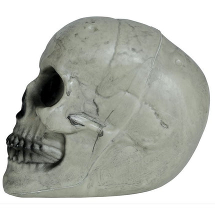 Halloween Schedel Wit 20cm van Fiestas Guirca koop je bij Partywinkel