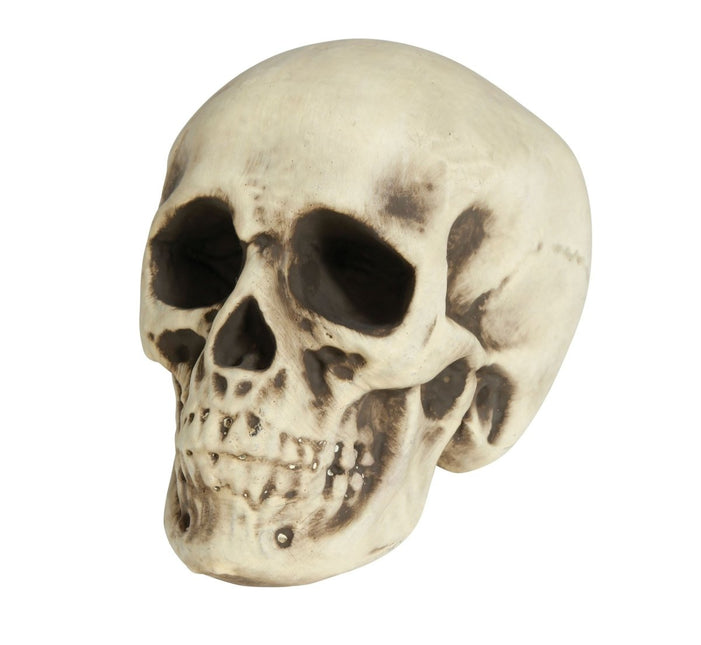 Halloween Schedel Wit Schuim 20cm van Fiestas Guirca koop je bij Partywinkel