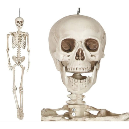 Halloween Skelet 1,6m van Fiestas Guirca koop je bij Partywinkel