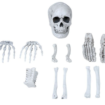 Halloween Skelet van Fiestas Guirca koop je bij Partywinkel