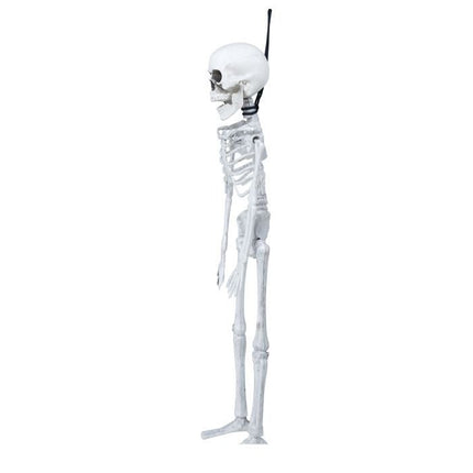 Halloween Skelet 40cm van Fiestas Guirca koop je bij Partywinkel