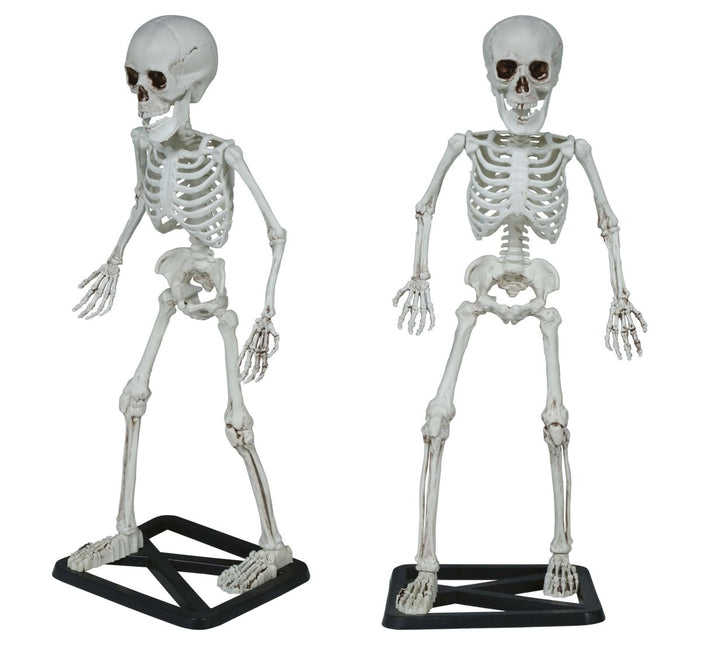 Halloween Skelet 55cm van Fiestas Guirca koop je bij Partywinkel