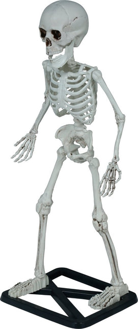 Halloween Skelet 55cm van Fiestas Guirca koop je bij Partywinkel