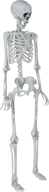 Halloween Skelet Beweegbaar 1,4m van Fiestas Guirca koop je bij Partywinkel
