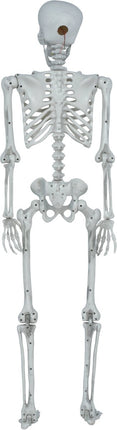 Halloween Skelet Beweegbaar 1,4m van Fiestas Guirca koop je bij Partywinkel