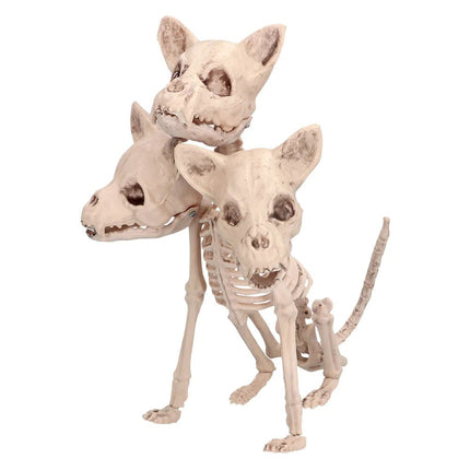 Halloween Skelet Cerberus 42cm van Boland koop je bij Partywinkel