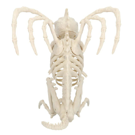 Halloween Skelet Gargoyle 34cm van Boland koop je bij Partywinkel