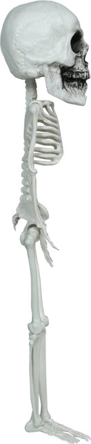 Halloween Skelet Hangend Groot Hoofd 40cm van Fiestas Guirca koop je bij Partywinkel