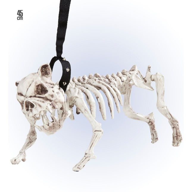Halloween Skelet Hond Met Riem 45cm van Widmann koop je bij Partywinkel