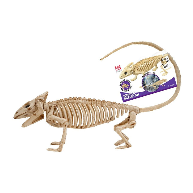 Halloween Skelet Leguaan 43cm van Widmann koop je bij Partywinkel