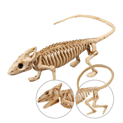 Halloween Skelet Leguaan 43cm van Widmann koop je bij Partywinkel
