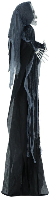 Halloween Skelet Met Licht, Geluid En Beweging 1,7m van Fiestas Guirca koop je bij Partywinkel