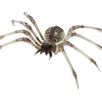 Halloween Skelet Spider 85cm van Fiestas Guirca koop je bij Partywinkel