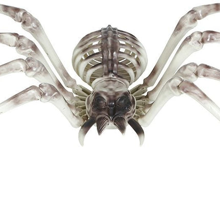 Halloween Skelet Spider 85cm van Fiestas Guirca koop je bij Partywinkel
