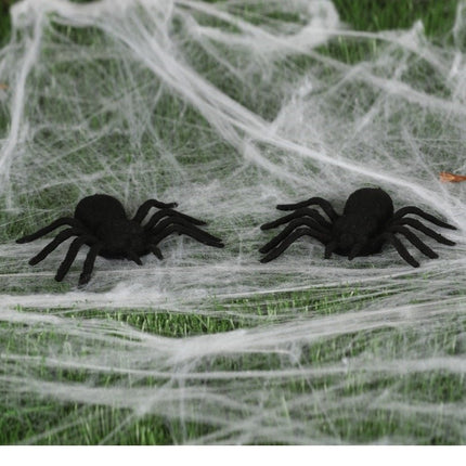 Halloween Spinnen Set 10cm 2 delig van Fiestas Guirca koop je bij Partywinkel