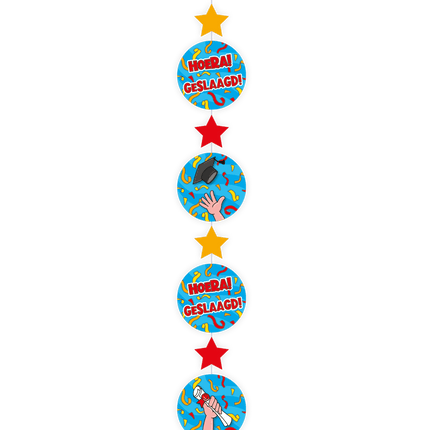 Hangdecoratie Geslaagd 120cm van Paper Dreams koop je bij Partywinkel