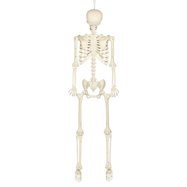 Hangdecoratie Skelet skinny (160 cm) van Boland koop je bij Partywinkel