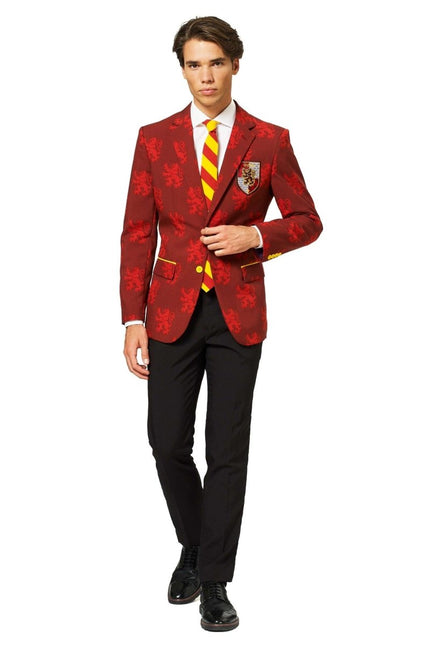 Harry Potter Pak Heren van OppoSuits koop je bij Partywinkel