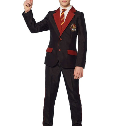 Harry Potter Pak Jongen Gryffindor van Suitmeister koop je bij Partywinkel