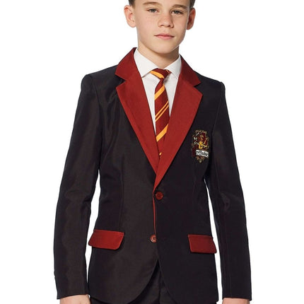 Harry Potter Pak Jongen Gryffindor van Suitmeister koop je bij Partywinkel
