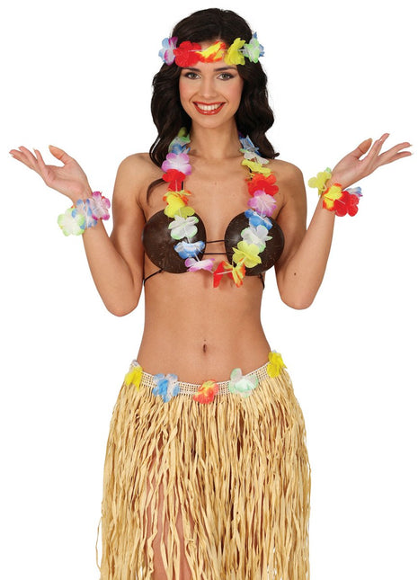 Hawaii Accessoireset Regenboog 4 delig van Fiestas Guirca koop je bij Partywinkel