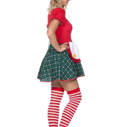 Kabouter Jurk Dames van Wilbers & Wilbers koop je bij Partywinkel