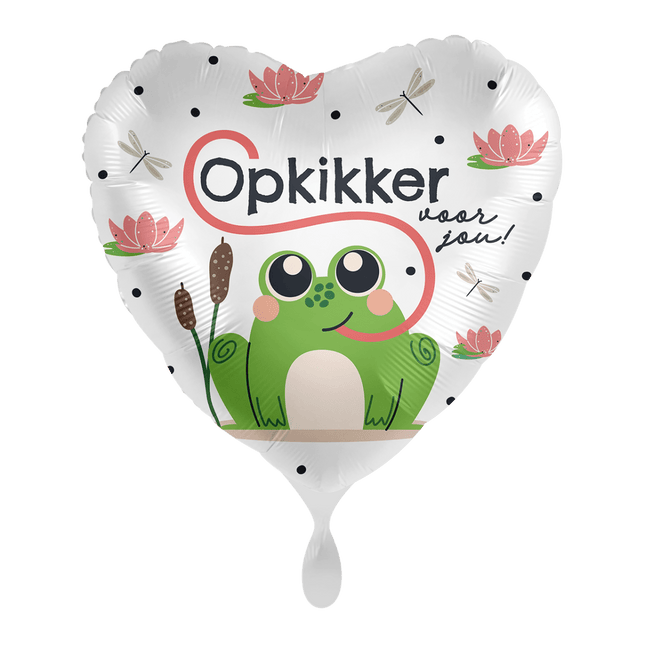 Kikker Helium Ballon Leeg 43cm van Premioloon koop je bij Partywinkel