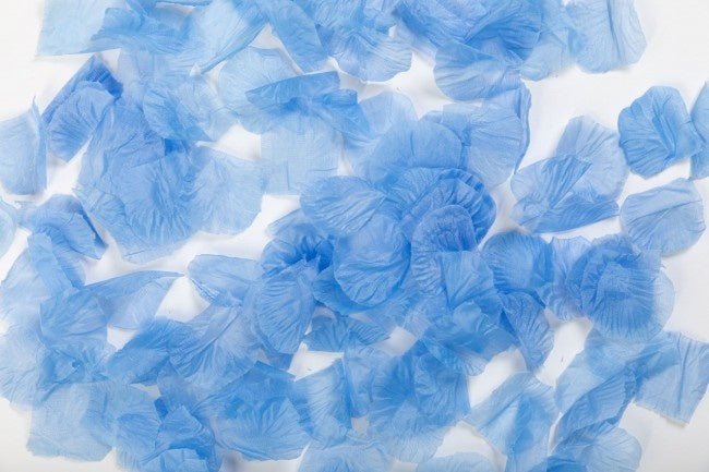 Licht Blauwe Rozenblaadjes 144st van WeFiesta koop je bij Partywinkel