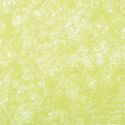 Lime Groene Lint 10m van CHAKS koop je bij Partywinkel