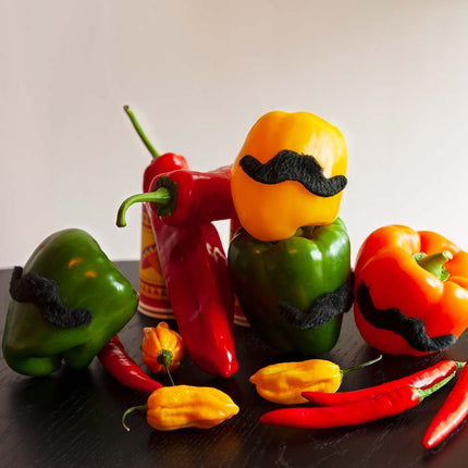 Mexicaanse Snorren Fiesta set 5 delig van Boland koop je bij Partywinkel