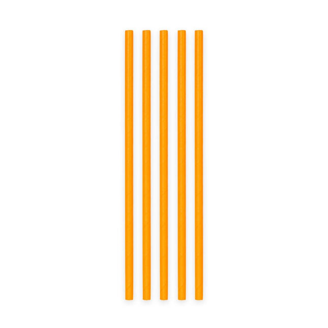 Oranje Rietjes Karton 20st van WeFiesta koop je bij Partywinkel