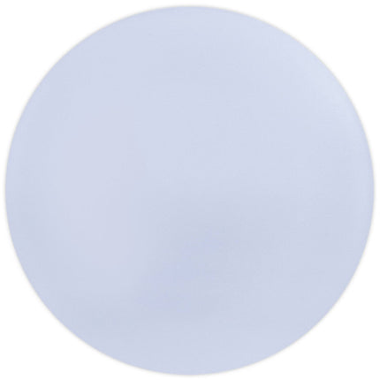 Paarse Borden Pastel 25cm 2st van Procos koop je bij Partywinkel