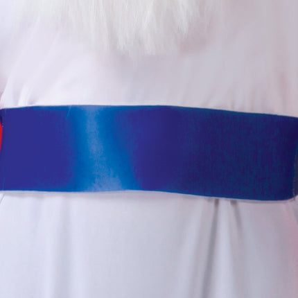 Panoramix Kostuum Asterix en Obelix van Fiestas Guirca koop je bij Partywinkel