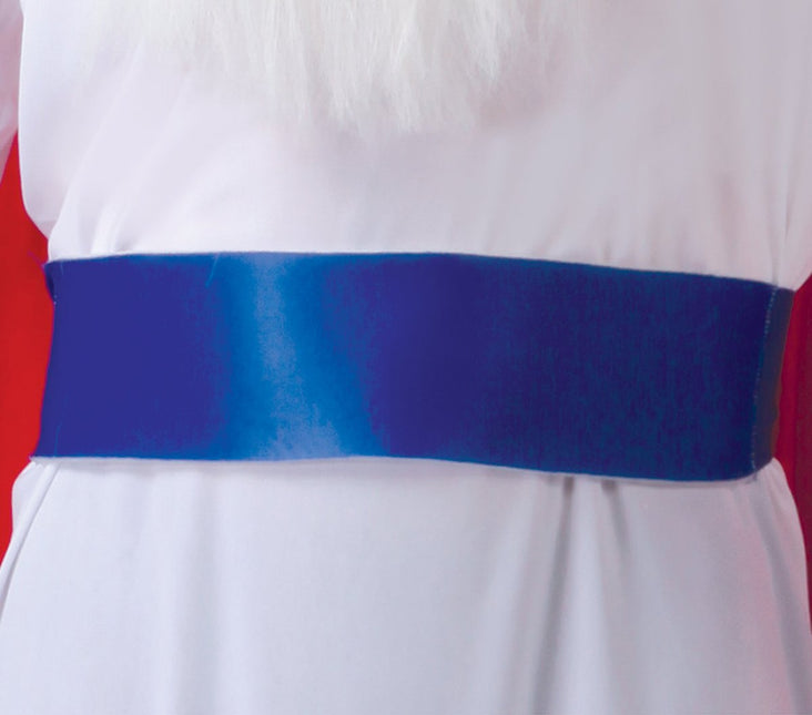 Panoramix Kostuum Asterix en Obelix van Fiestas Guirca koop je bij Partywinkel