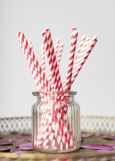 Papieren Rietjes Fuchsia Gestreept 19,7cm 20st van WeFiesta koop je bij Partywinkel