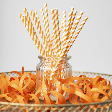 Papieren Rietjes Oranje Gestreept 19,7cm 20st van WeFiesta koop je bij Partywinkel