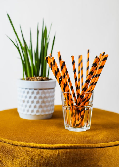 Papieren Rietjes Oranje/Zwart Gestreept 19,7cm 20st van WeFiesta koop je bij Partywinkel