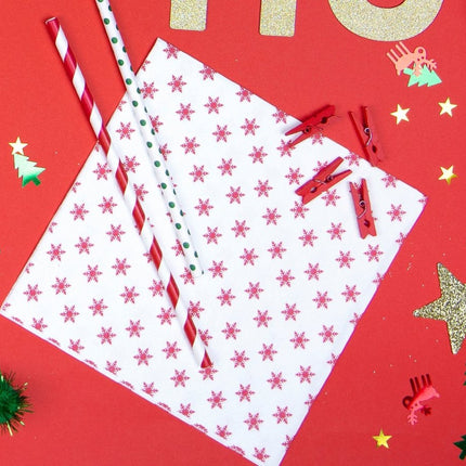 Papieren Rietjes Rood Wit 19,5cm 10st van Partydeco koop je bij Partywinkel