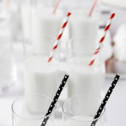 Papieren Rietjes Rood Wit 19,5cm 10st van Partydeco koop je bij Partywinkel