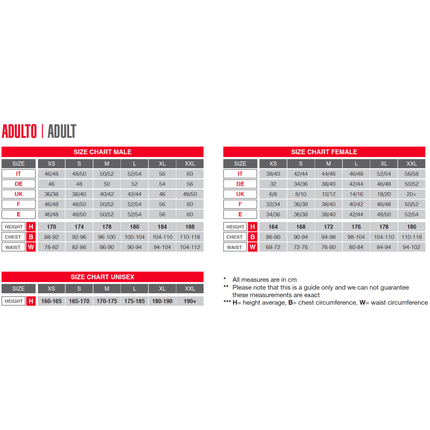 Peter Pan Kostuum van Widmann koop je bij Partywinkel