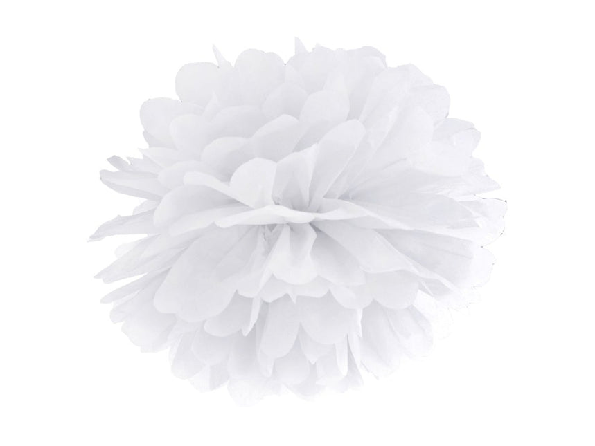 Pompon Wit 25cm van Partydeco koop je bij Partywinkel