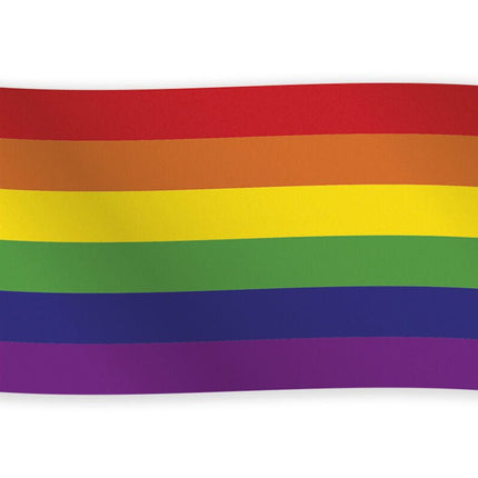 Pride Vlag 1,5m van WeFiesta koop je bij Partywinkel