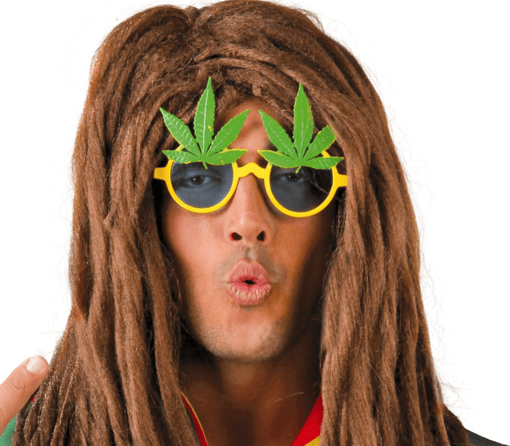 Rasta Bril van Fiestas Guirca koop je bij Partywinkel