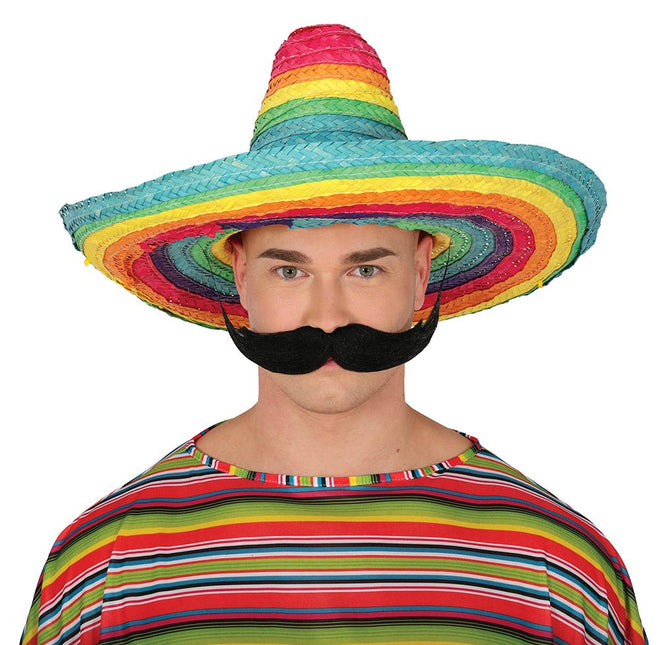 Regenboog Sombrero 50cm van Fiestas Guirca koop je bij Partywinkel