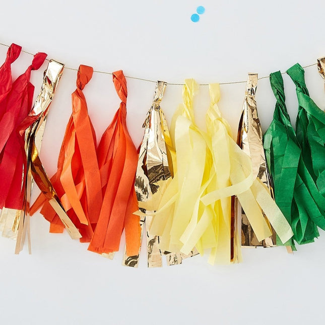 Regenboog Tassel Slinger 1,5m van Ginger Ray koop je bij Partywinkel