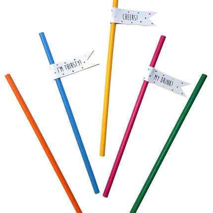 Rietjes Gekleurd 8cm 20st van Haza Witbaard koop je bij Partywinkel