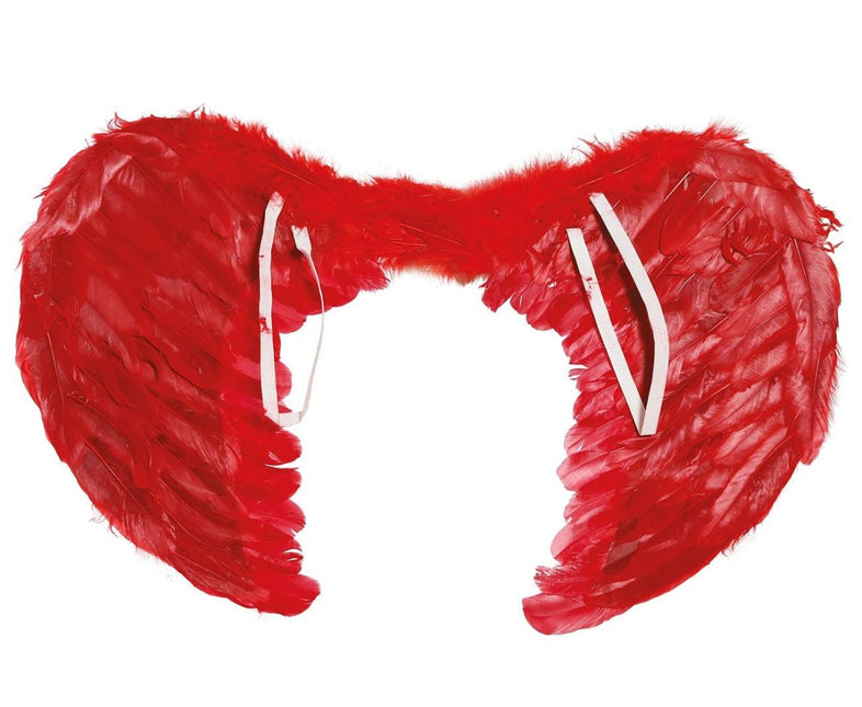 Rode Vleugels Veren 60x45cm van Fiestas Guirca koop je bij Partywinkel