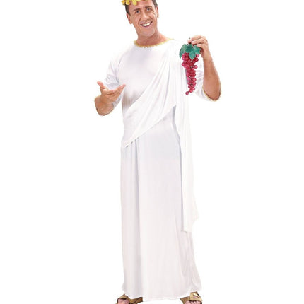 Romeins Kostuum Toga van Widmann koop je bij Partywinkel