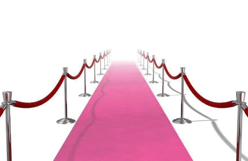 Roze Loper 50cm 4,5m van Folat koop je bij Partywinkel