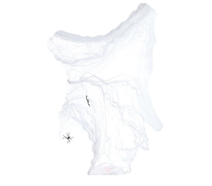 Spinnenweb 40gr van Fiestas Guirca koop je bij Partywinkel